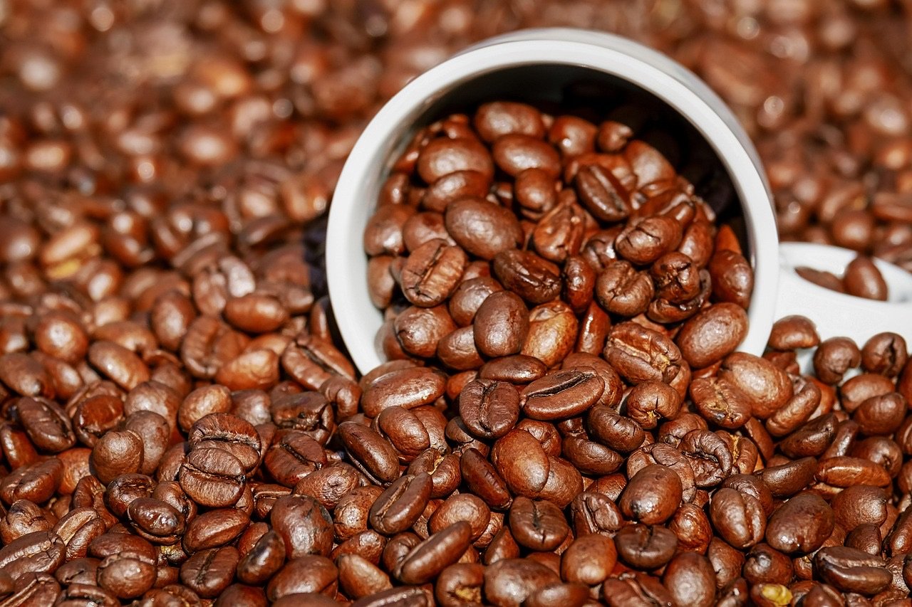 Indonesian green coffee beans