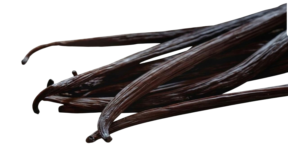 Cured Indonesian vanilla beans